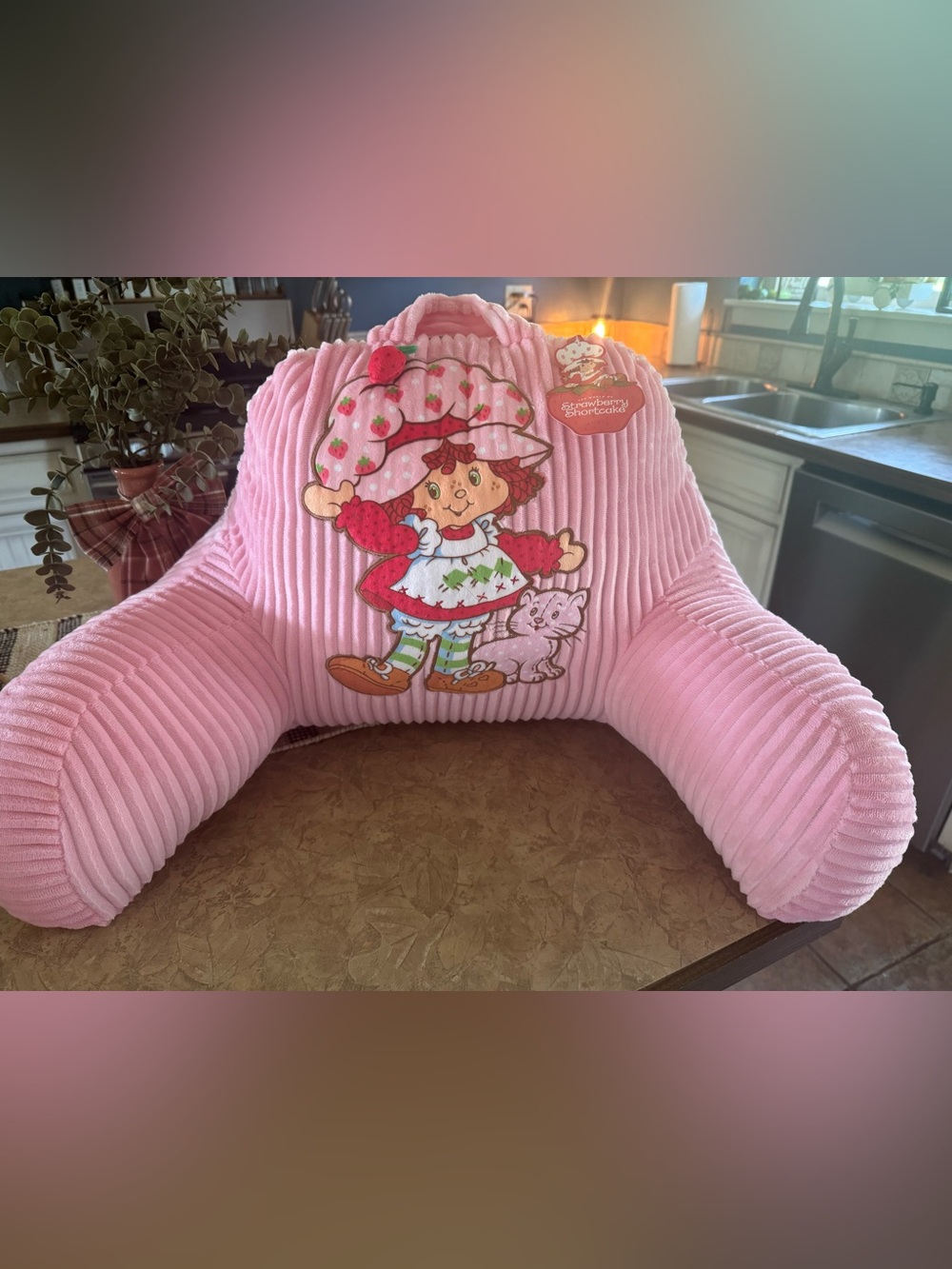 Strawberry Shortcake Pink Corduroy Reading Pillow